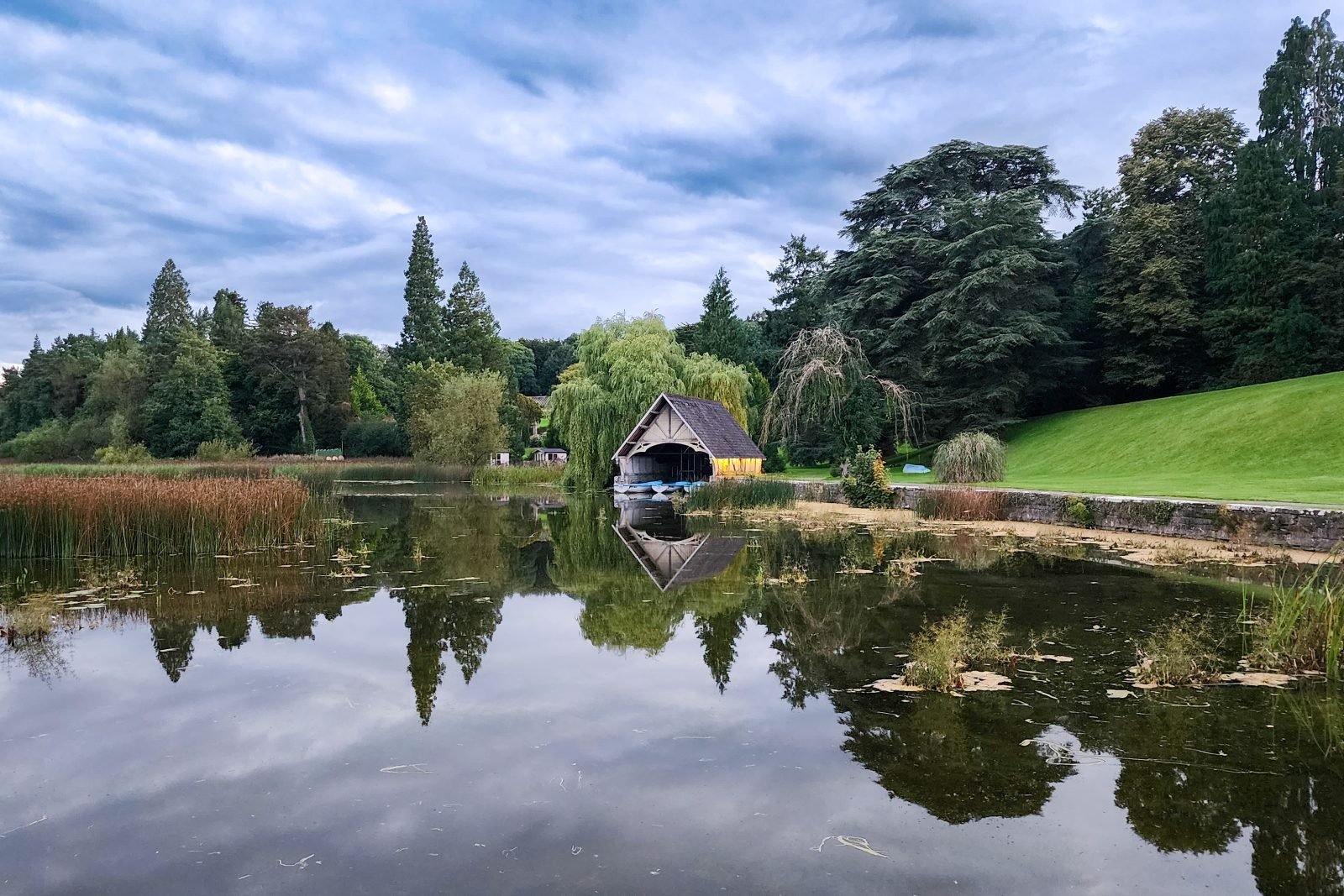 MNG, IRELAND · portfolio